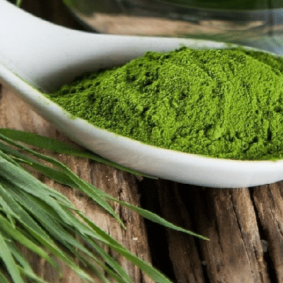 alga-spirulina-blog-869x485-1
